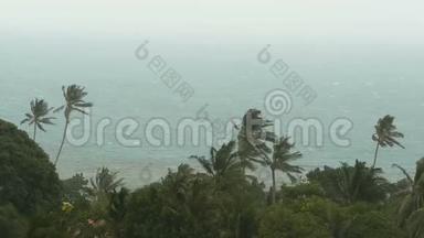 自然<strong>灾害</strong>飓风期间的海滨景观。 强烈的旋风吹拂椰子树。 热带风暴